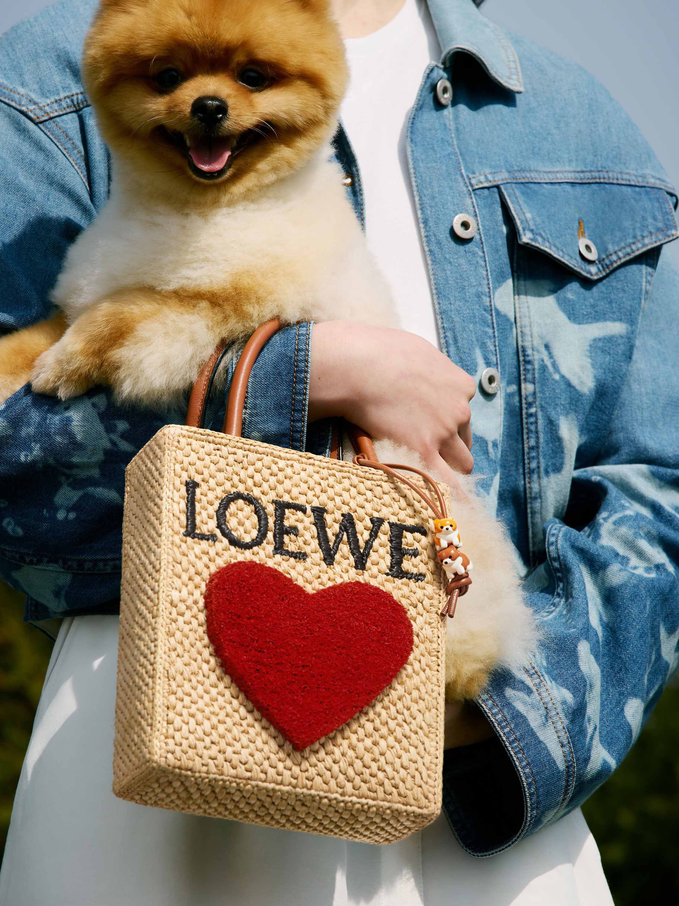 LOEWE　新品未使用　トップス 520 collection